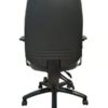orthopedic chair back